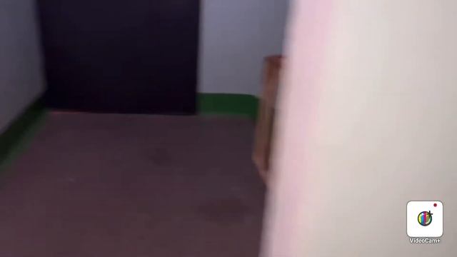 Электрический, пассажирский лифт МЛЗ смотреть онлайн