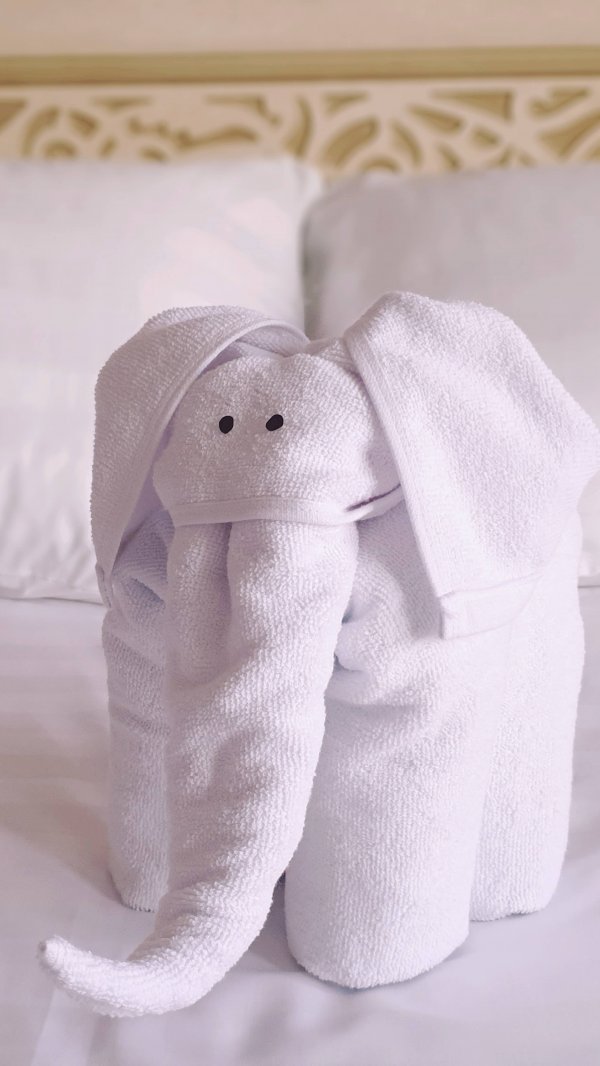 Дом у моря "Lavanda Village"