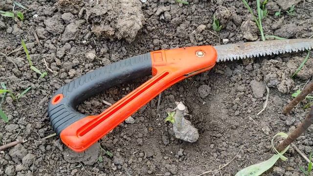 МОЙ ОТВЕТ НЕКОТОРЫМ "УМНЫМ" КОММЕНТАТОРАМ, а так же какой пришел ОТВЕТ ИЗ ПИТОМНИКА РОЗ П.КОЗЛОВОЙ смотреть онлайн