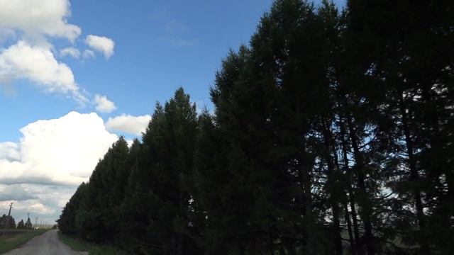 лето 2017 смотреть онлайн