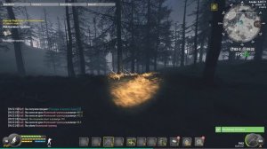 will to live online 10 советов новичку/ Помощь в игре новичку вилтулайв