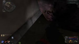 СТАЛКЕР Ганслингер. Тёмная долина. Найти ключ от сейфа. Первый раз играю