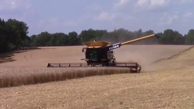 Комбайн CLAAS Lexion 740 Пшеница
