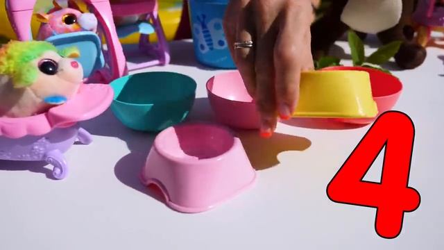 Поехали, посмотрим! Морские свинки — игрушки и настоящие! Веселые видео для детей с Машей Капуки смотреть онлайн