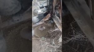 Ямобур с гидромотором на т 25