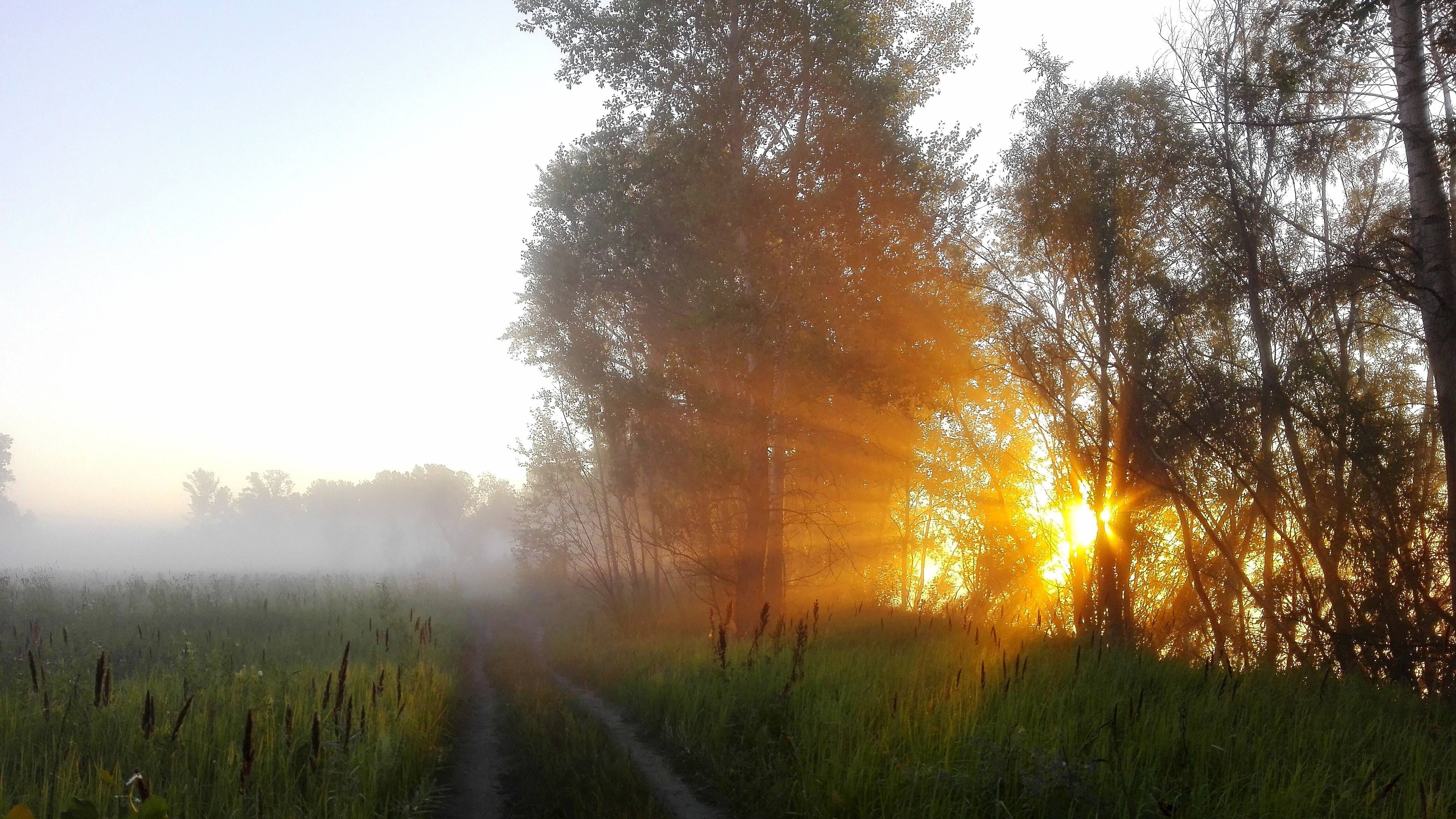 "Кислухинский" заказник. Рыбалка в буреломе ! Вся щука стоит в дровах ! смотреть онлайн