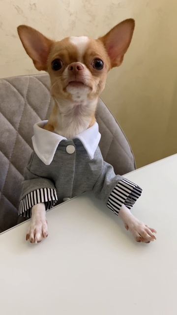 Хочу кушать смотреть онлайн