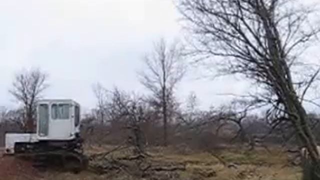 Т-70 и дерево неизвестной породы смотреть онлайн