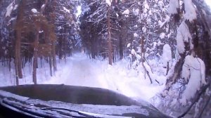 Руки Крюки,первая поездка на газ 53, в лес за дровами,