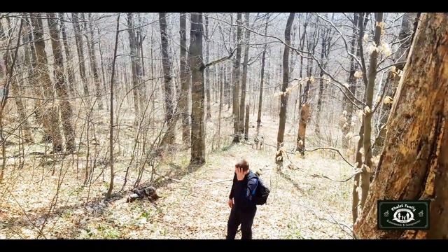 "Сhalet family" Відпочинок в Закарпатті на всі 100 % смотреть онлайн