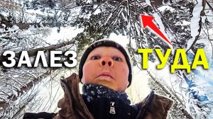 Купил Охотничьи ЛЫЖИ / Приготовил ЧАЙ в ЛЕСУ и залез на ДЕРЕВО