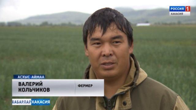 Фермер Кольчиков. 23.07.2018