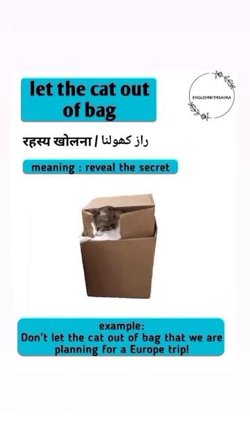 Idioms related to cats #shortsvideo смотреть онлайн