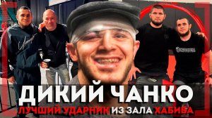 ЛУЧШИЙ УДАРНИК из ЗАЛА Хабиба - Магомед Зайнуков - Ислам Махачев ПОПРОСИЛ Дану Уайта ПОДПИСАТЬ в UFC