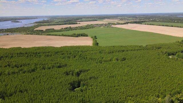 Курмыш-Черницы