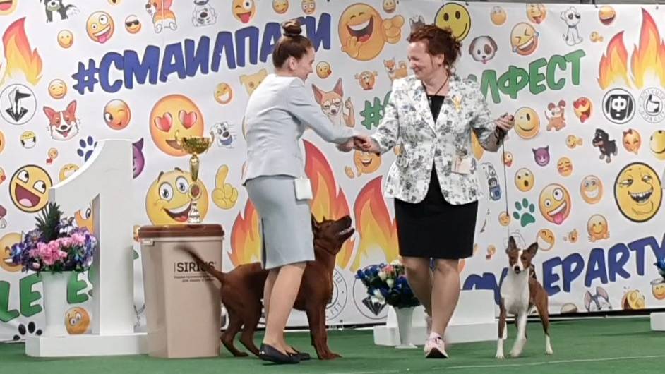 09.03.2025, СПб. Клуб "Президент-2", СПб. Несертификатная выставка "Шоу Чемпионов" смотреть онлайн