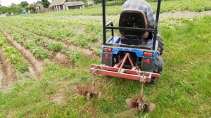 Финальное окучивание минитрактором амжк-8