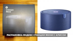 Голосовая колонка Яндекс Станция мини | Как использовать и тесты с Алисой