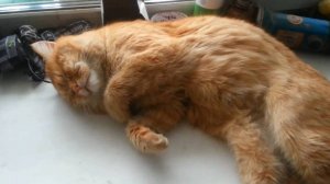 После загула