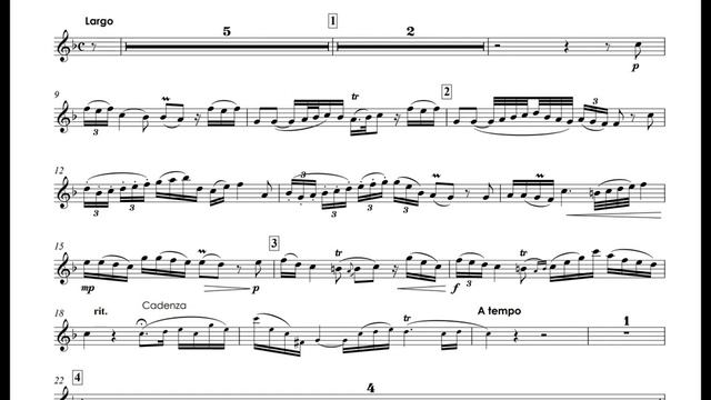 Neruda, Johann - Concerto for trumpet E-flat - Sergei Nakaryakov trumpet Bb смотреть онлайн