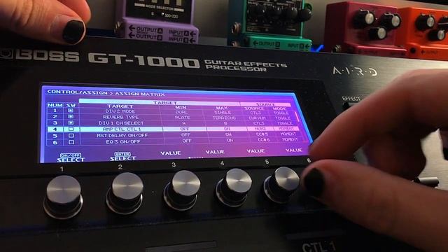 BOSS GT-1000 BASICS - Hardware Settings