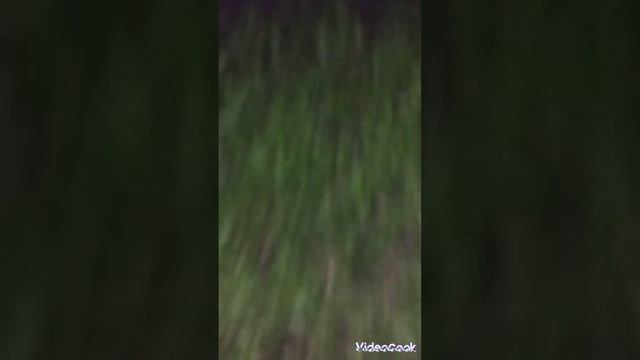 ПРОНИКЛИ В ЖИЛОЙ ДОМ!! (НОЧЬЮ) смотреть онлайн