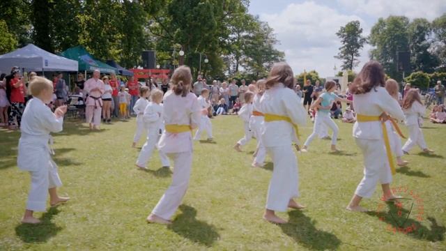 Stowarzyszenie SATORI