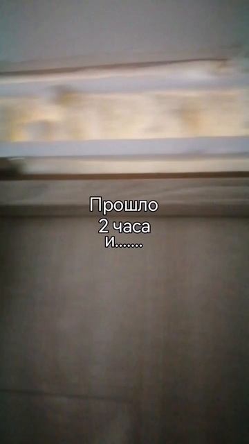 Совет как остаться одному на весь день. #межкомнатныедвери смотреть онлайн