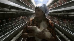 Птицефабрика Молодёжная