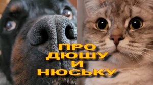 ТАЙНЫ ДЮШИ И НЮСИ