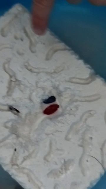раскопки