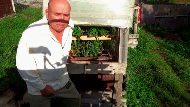 Сад и огород.Как три монгола победили войско желтой шапочки