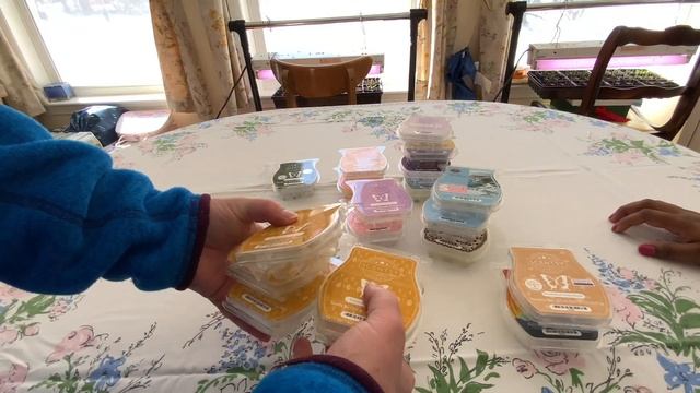 What we Warmed in Feb & March 2023 смотреть онлайн