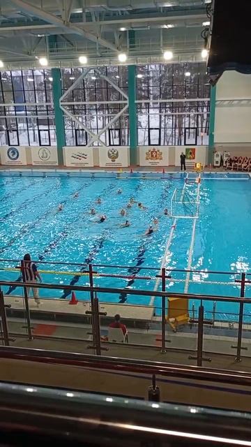 Чемпионат России по водному поло среди женских команд смотреть онлайн