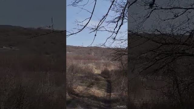 Video_2025-03-15_15-17-09