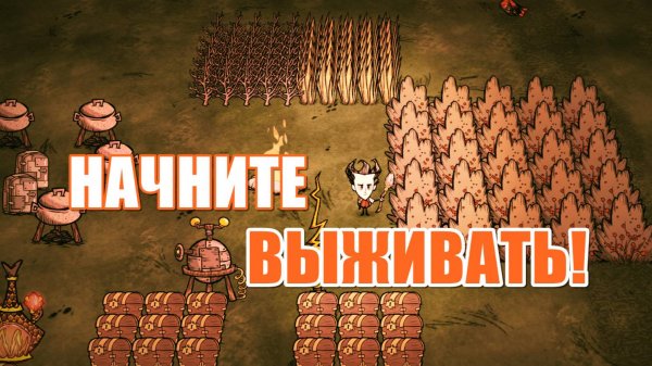 Гайд для новичков #1. Донт Старв Тугезер