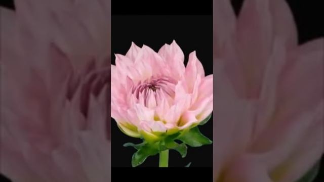 о чем поешь метель lv_0_20250314202123