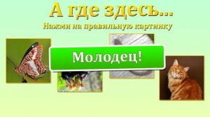 Развивающие игры для детей - Буква Ш