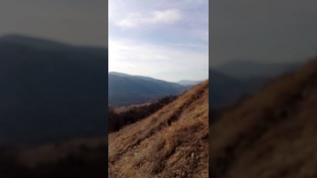 Кизинка 2025  март