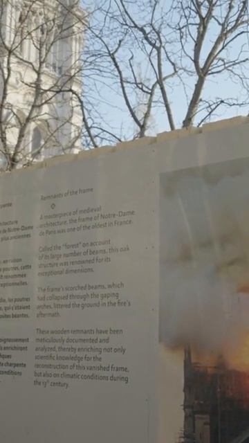 Best Places To Visit In Paris