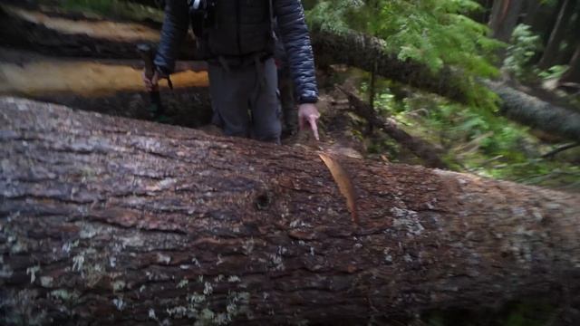 $29 backpacking tool I should've bought sooner - Never get lost again смотреть онлайн