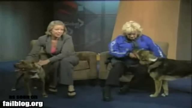 Adopt a Pet FAIL смотреть онлайн