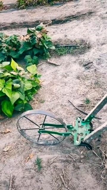 The BEST Garden Tool You Can Buy! 🌱 смотреть онлайн