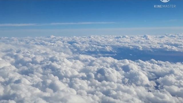 Рысь зубами дотащила его и снаряжение до ближайшего смотреть онлайн