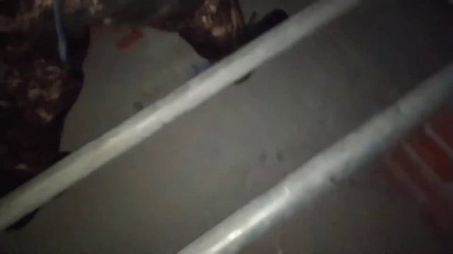 залезли на чердак многоэтажки смотреть онлайн