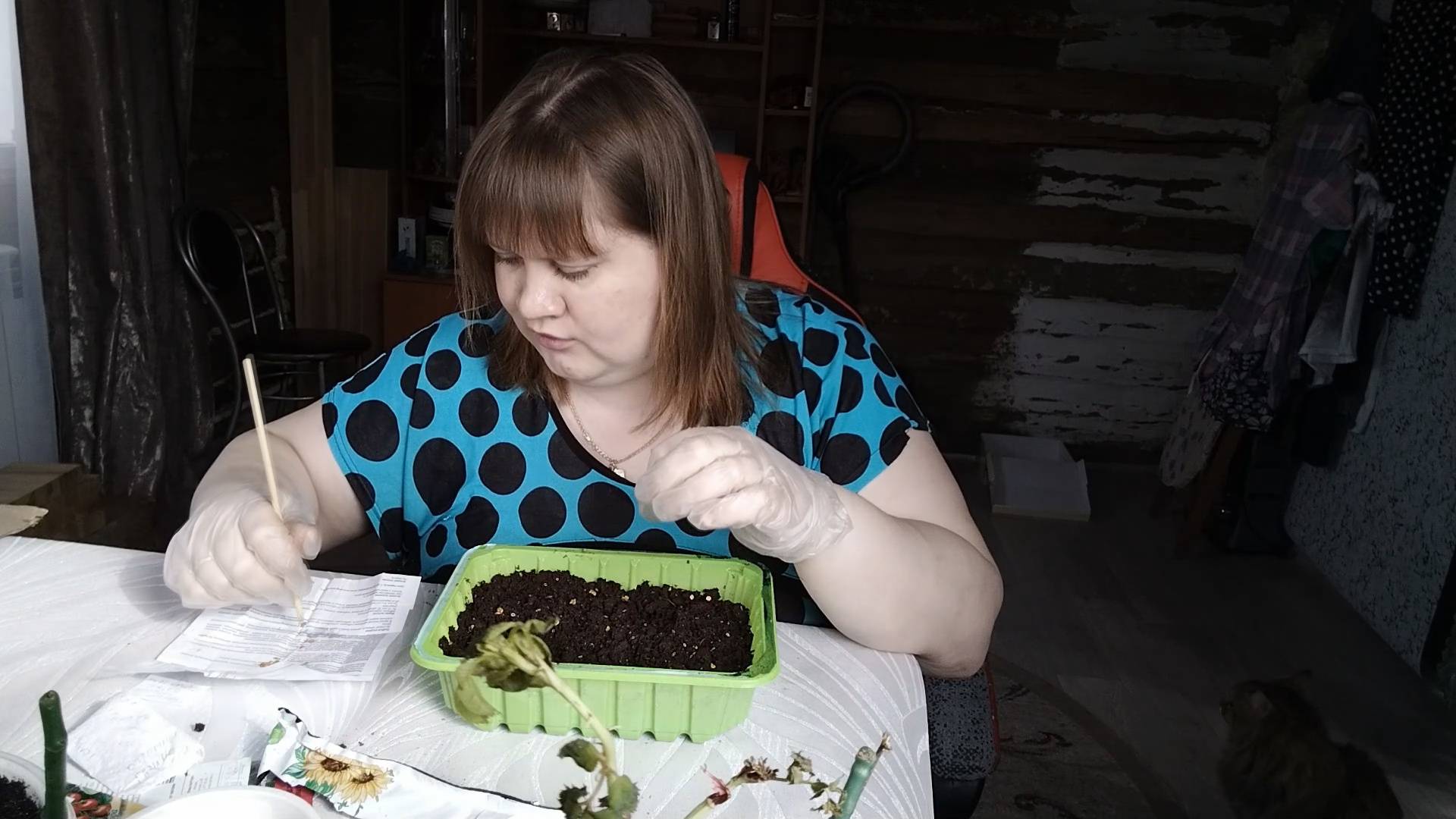 ПРОСТАЯ ЖИЗНЬ 45 СЕЮ ТОМАТЫ И БОЛТАЮ ЖИЗНЬ ПРОСТЫХ ЛЮДЕЙ смотреть онлайн