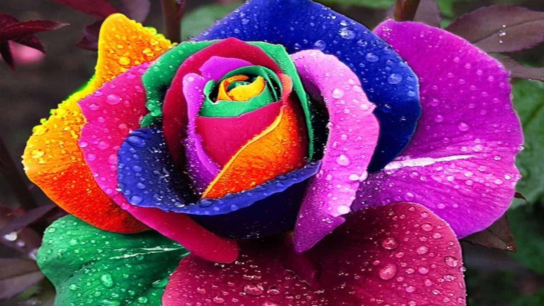 Райский Сад БОГА на Земле. 07.03.25. смотреть онлайн