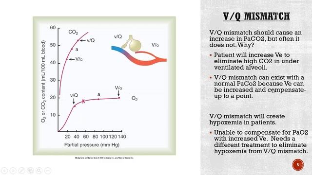 PPT 19 CO2 Transport Impaired CO2 Removal смотреть онлайн