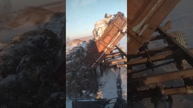 Вывоз навоза.... смотреть онлайн