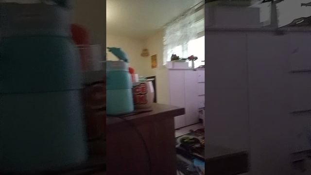 1000020819.mp4 смотреть онлайн